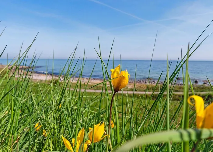Juna - 50m From The Sea By Interhome Apartamento Allinge-Sandvig
